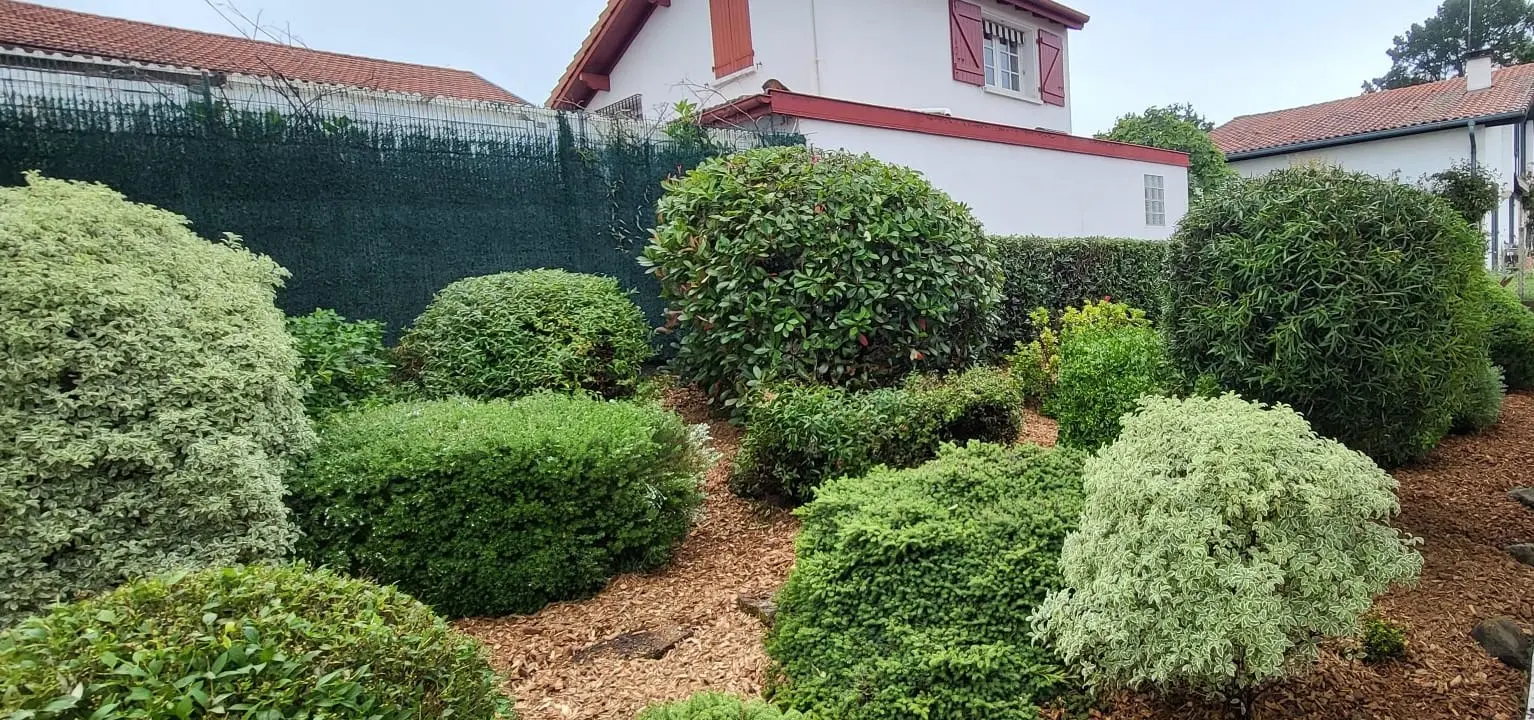 Après Paillage